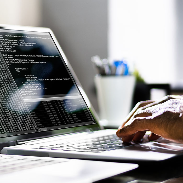 Hands typing with a computer screen showing data